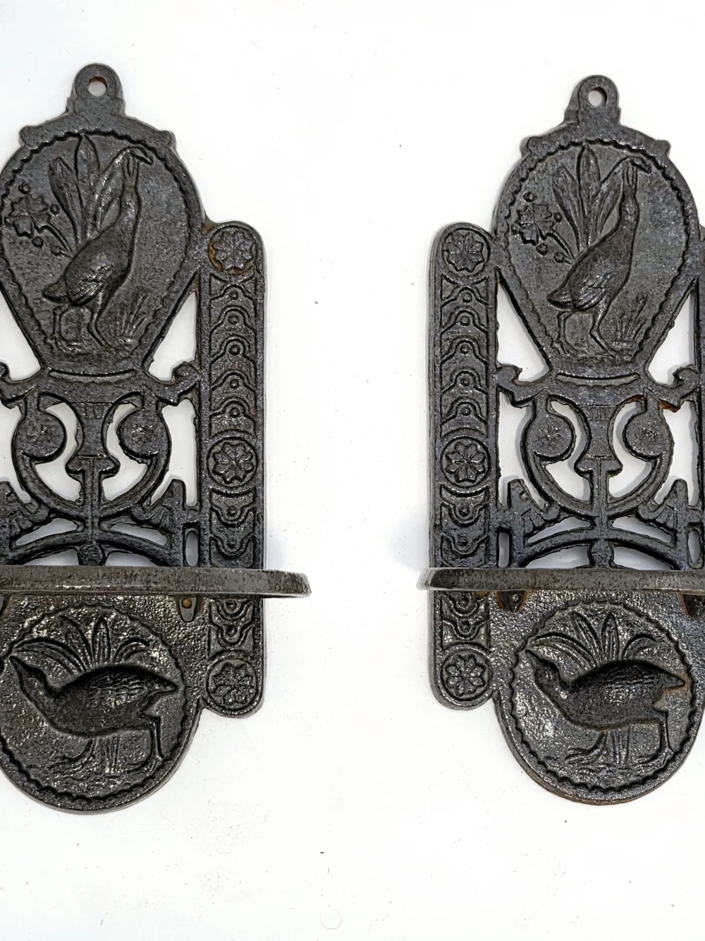 Antique Cast Iron Kiwi Bird Wall Mount Sconces, a Pair